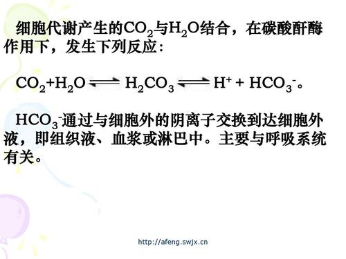 呼吸酶属于内环境吗 学类资讯