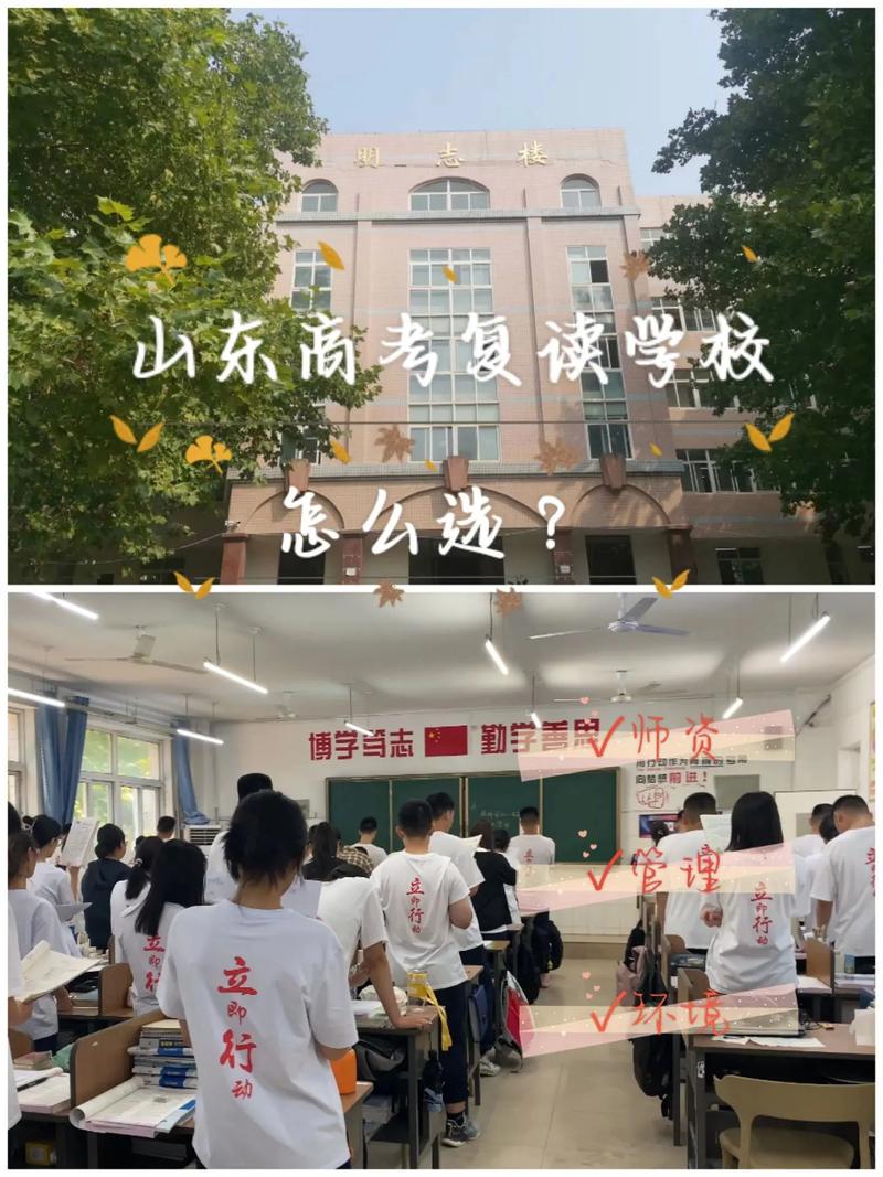 山东省新高考可以复读吗 学类资讯