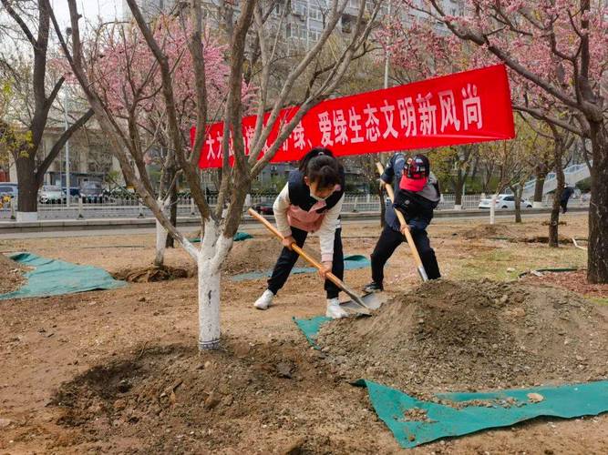 来为汉中添新绿！报名方式→(植树活动全民林业局义务) 汽修知识