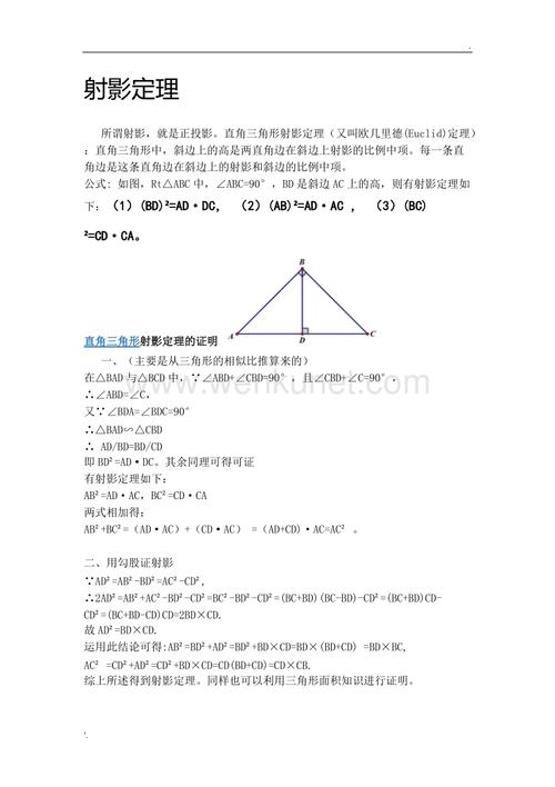 射影定理是哪年级学的 学类资讯