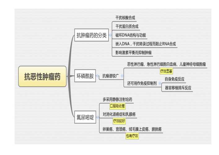 药理学主要研究对象 学类资讯