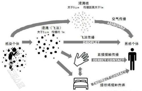 空气传播的主要途径 学类资讯