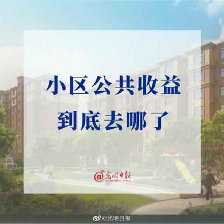 小区公共收益去向不明(小区业主住宅小区物业收益) 汽修知识