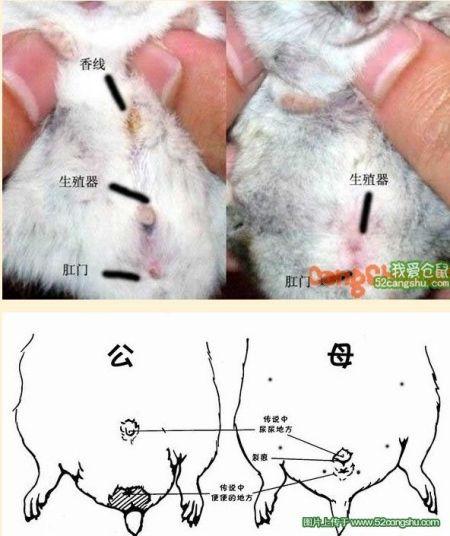 仓和廪的区别 学类资讯