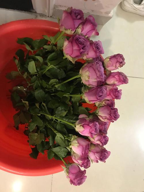 为什么鲜花里滴84 学类资讯