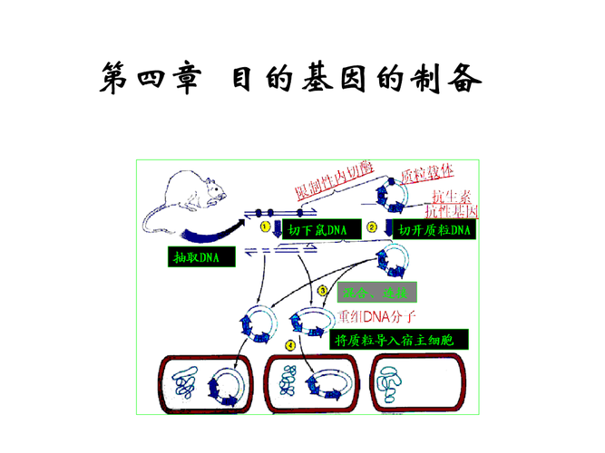 目的基因的制备方法有 学类资讯