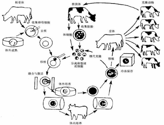 委培生的好处和坏处 学类资讯