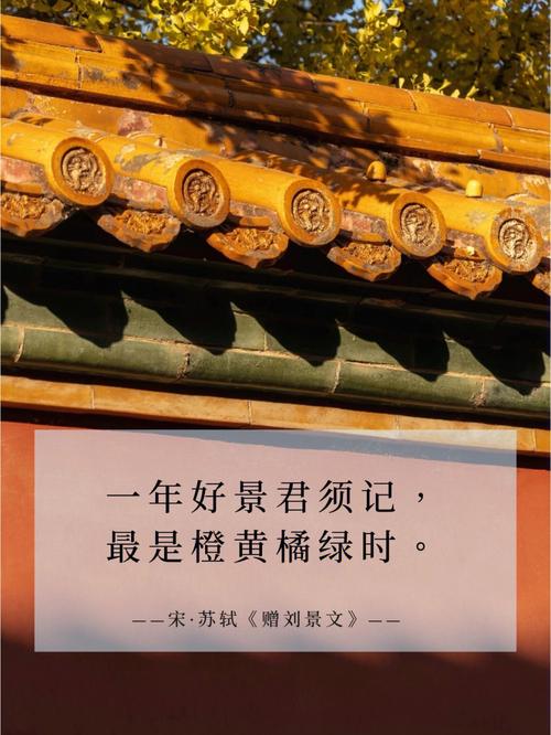 一年好景君须记,最是橙黄橘绿时翻译 学类资讯