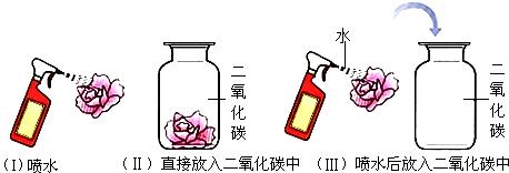 二氧化碳加水生成什么 学类资讯