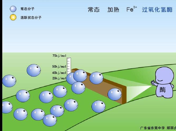 催化剂的作用是什么 学类资讯