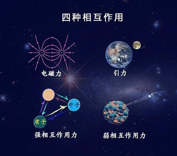 磁铁正负极相吸的原理 学类资讯