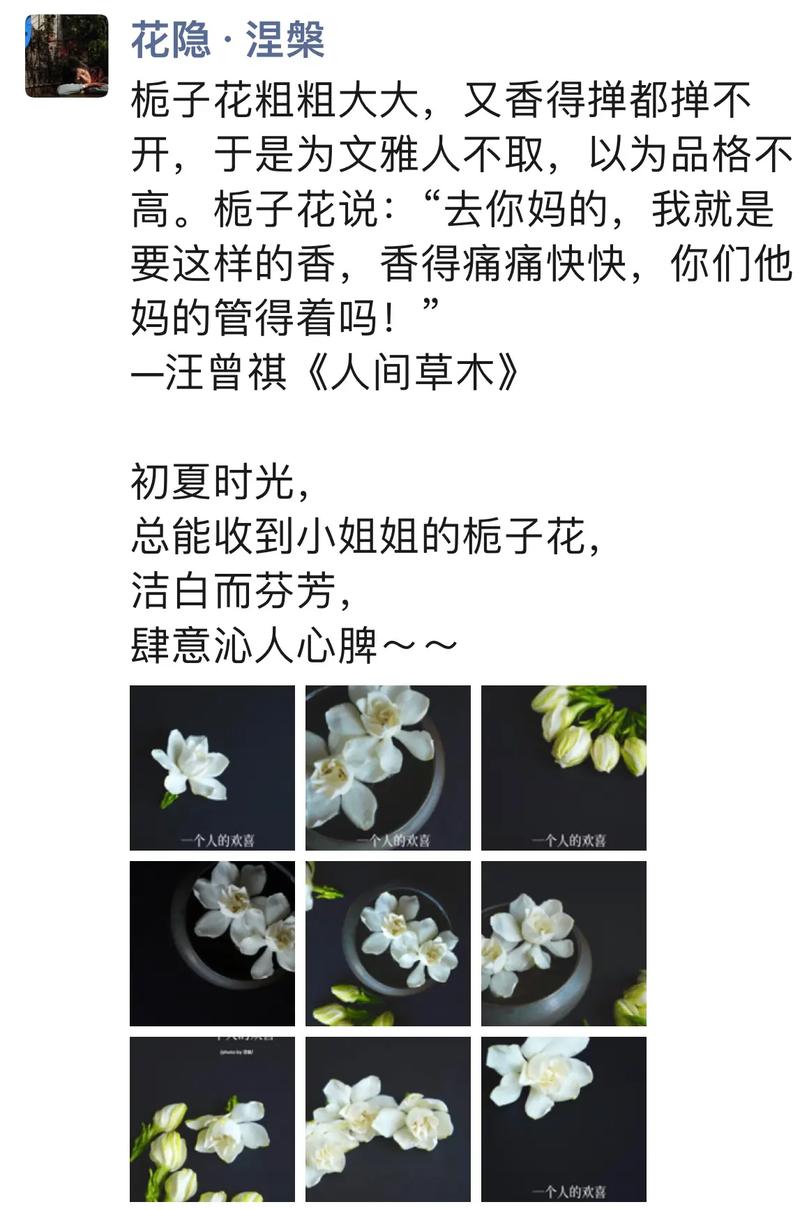 沁人心扉和沁人心脾的区别 学类资讯