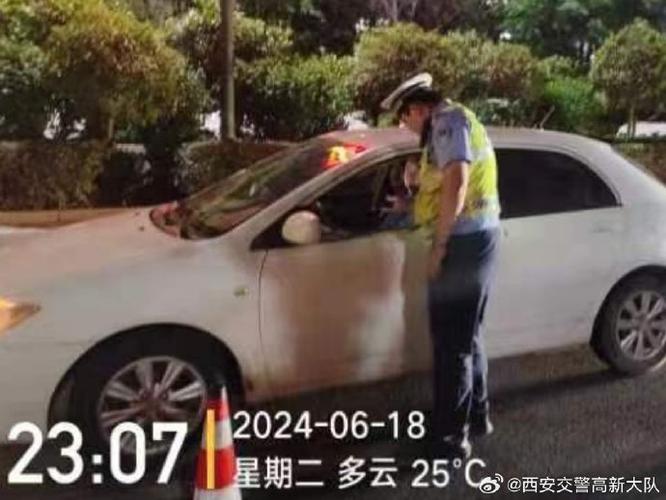 西安交警曝光6起事故典型案例  行人闯红灯、倒车不注意酿惨剧(驾驶校车行人交警张某) 汽修知识