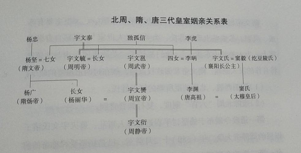 李渊和杨坚是什么关系 学类资讯