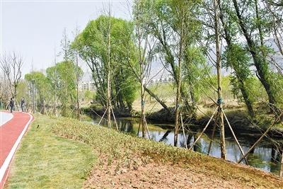 净化人居环境 提升城市品质——宣威市聚焦北盘江流域水环境综合整治(垃圾街道转运站有了北青网) 汽修知识