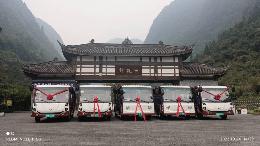 林立汽车成功交付五菱燃油观光车一批(神龙燃油景区五菱交付) 汽修知识