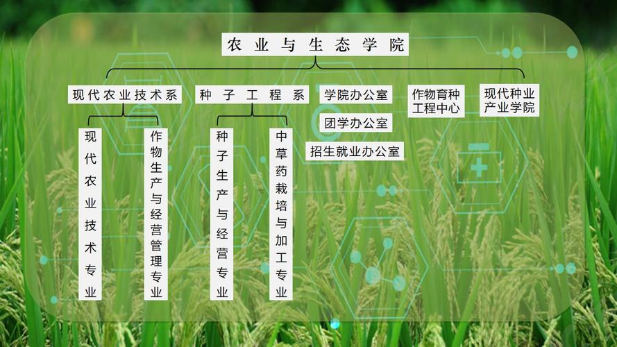 开设生态农业技术专业大学有哪些 学类资讯