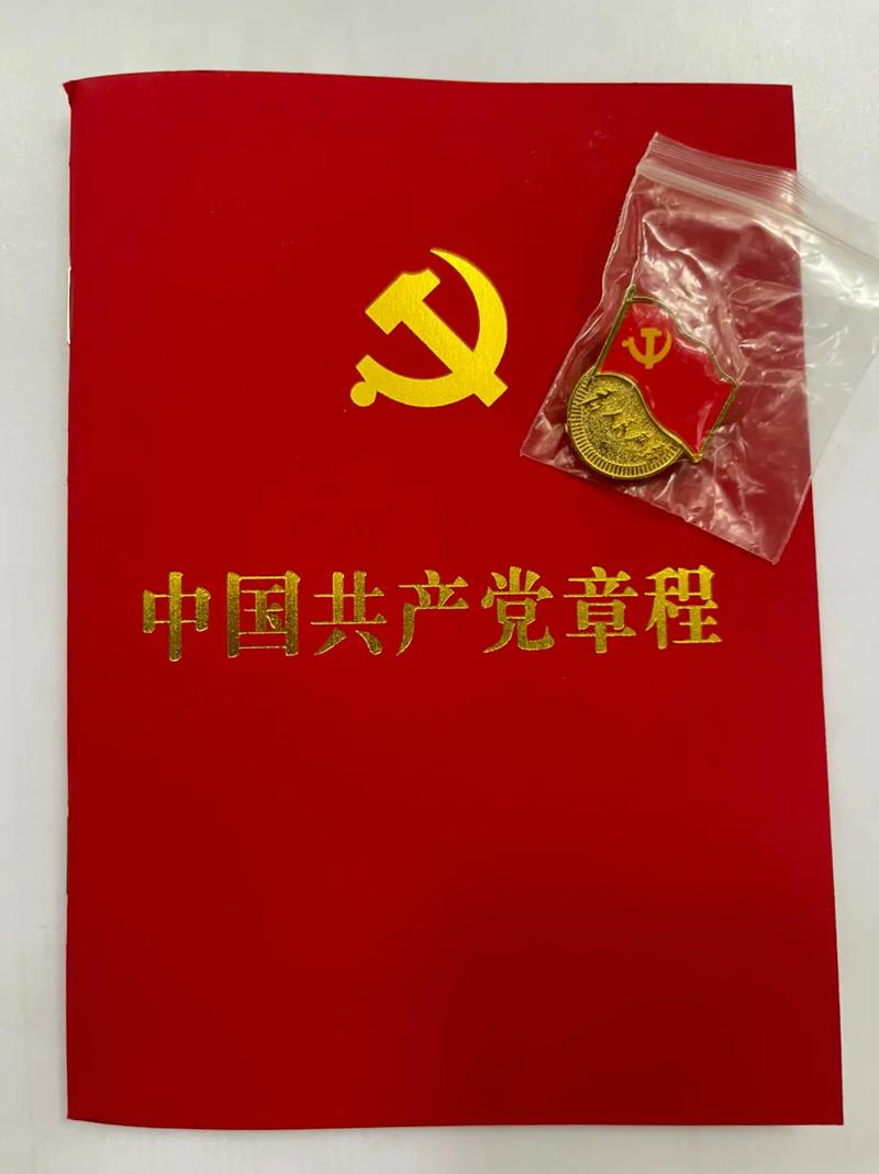 一枚党徽的力量(党徽同学们群体精神金印) 汽修知识