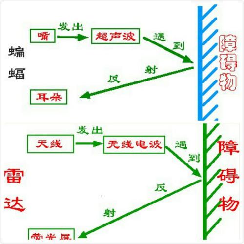 蝙蝠探路的原理还可以用在生活中的什么地方 学类资讯