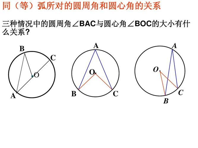 圆周角和圆心角的关系 学类资讯