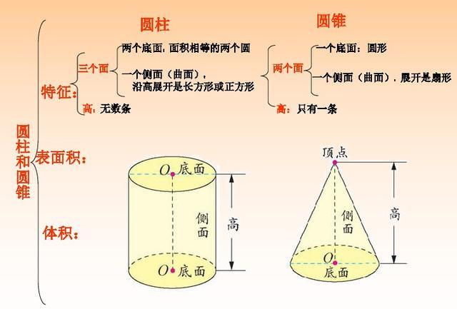 圆柱圆锥有什么特点 学类资讯