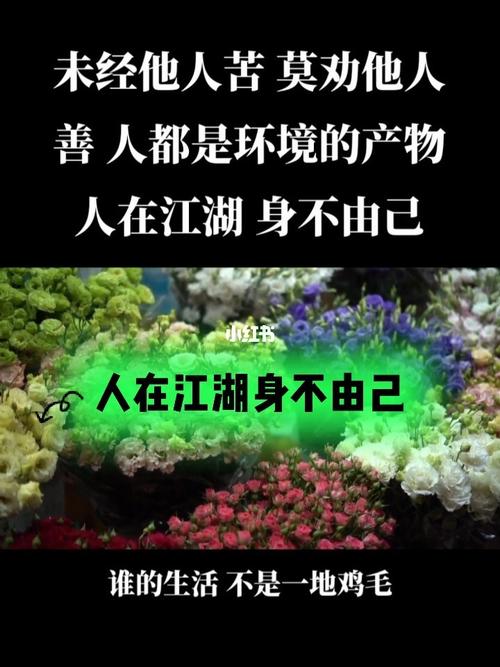 人在江湖,身不由己什么意思 学类资讯