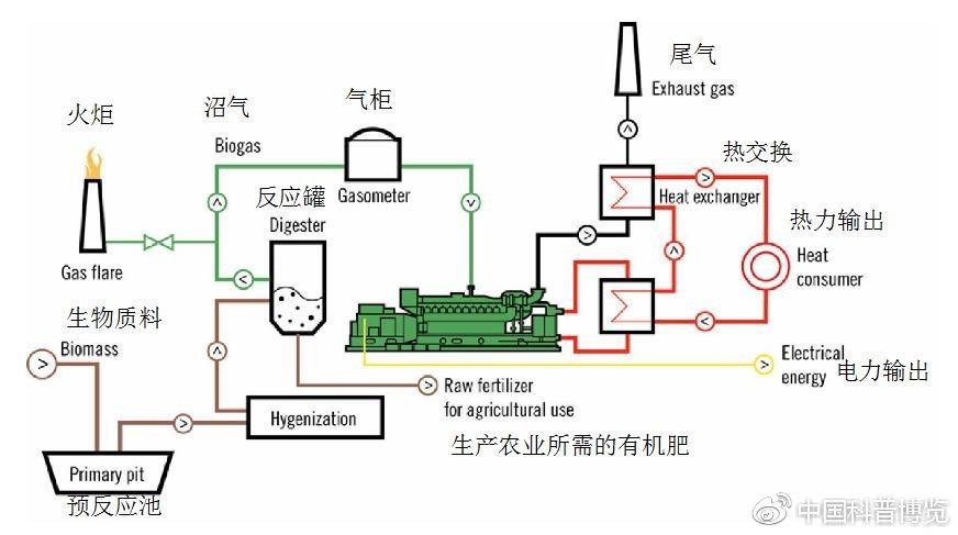 广宁县技术拔尖人才程树新：奋战在科研和生产一线(广宁生产沼气池研发化学) 汽修知识