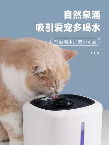 猫猫狗狗饮水机又坏了？这个方法一定能修好(饮水机修好一定能猫狗方法) 汽修知识