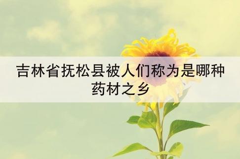 吉林省抚松县被人们称为是哪种药材之乡 学类资讯 吉林省抚松县被人们称为是哪种药材之乡 学类资讯