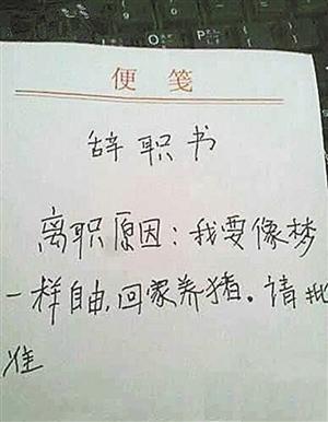 大专像大学一样自由吗 学类资讯