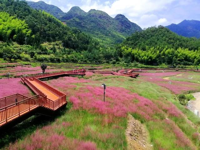 浙江泰顺：廊桥氡泉“双剑合璧”全域旅游“华丽蝶变”(廊桥旅游创建新华网度假) 汽修知识