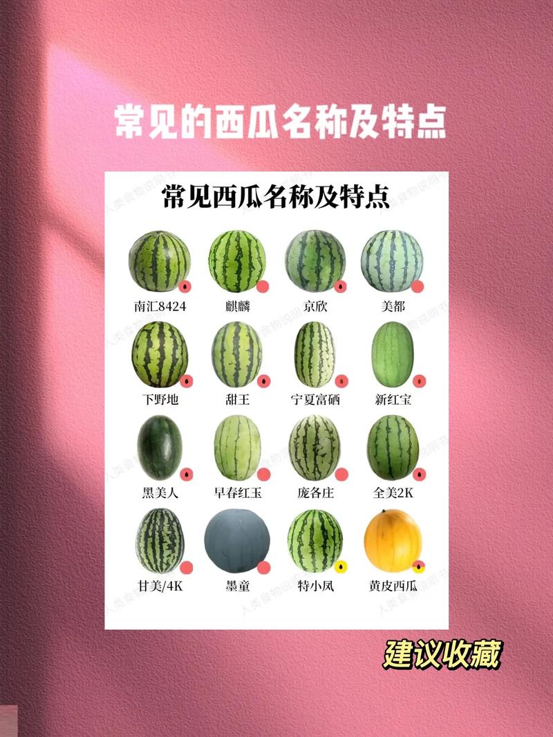 西瓜是可数名词还是不可数名词 学类资讯