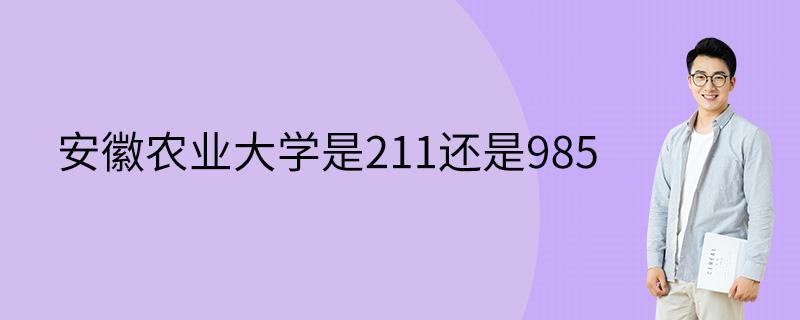 安徽农业大学是211还是985 学类资讯