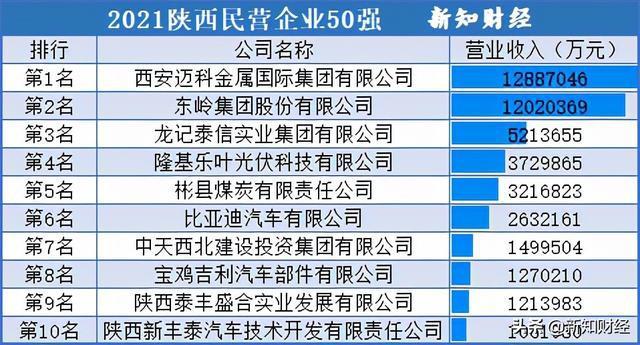 迈科反超东岭居首，宝鸡四企业上榜(亿元企业上榜榜单营收) 汽修知识