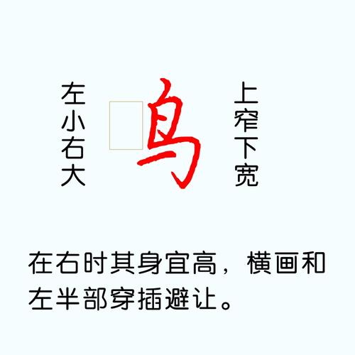 鸟的偏旁是什么 学类资讯