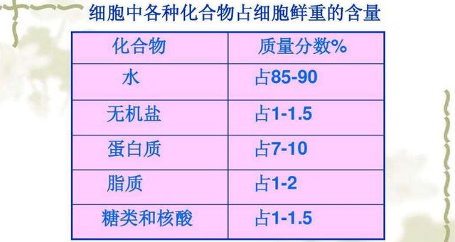 细胞中含量最多的化合物是什么 学类资讯