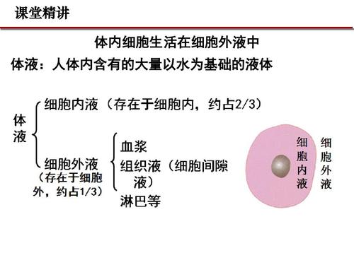 细胞内液包括什么 学类资讯