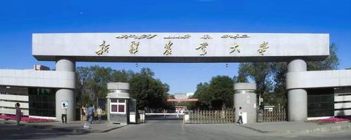 新疆农业大学是211还是985 学类资讯