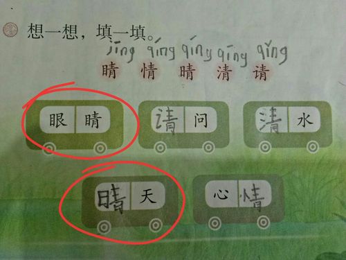 晴字组词语有哪些词语 学类资讯