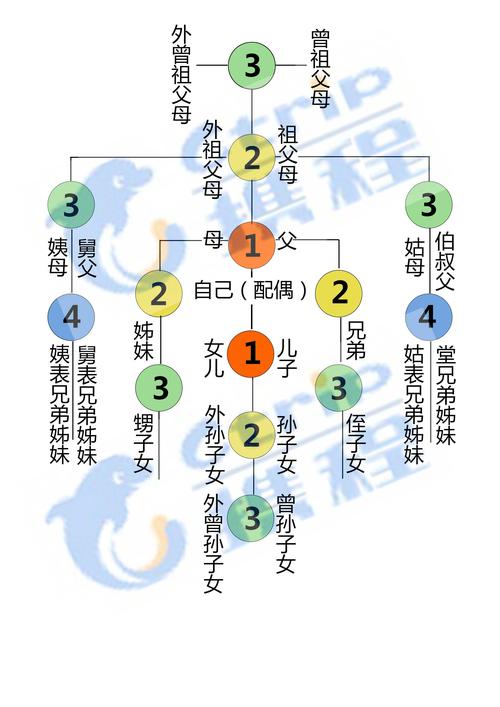 一级亲属指的是什么 学类资讯