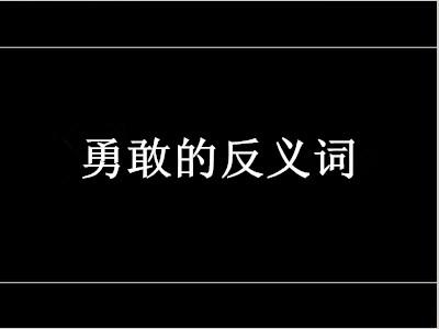 勇敢的反义词是什么 学类资讯