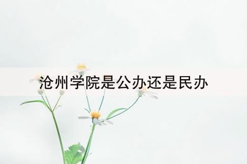 沧州师范学院是公办还是民办大学 学类资讯