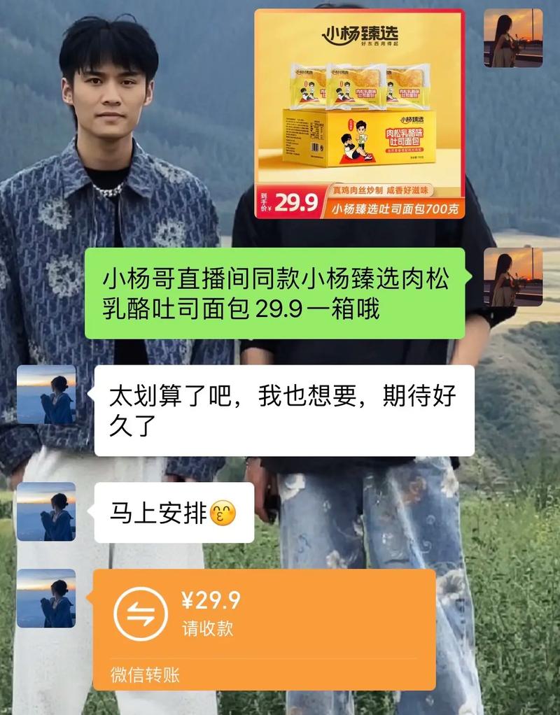 合肥制造(小杨直播三只亿元剪辑) 汽修知识