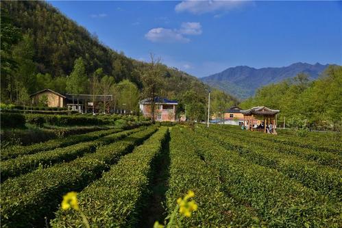 甘肃康县两河镇“插花村”美丽乡村建设共建共享(都是两河山村乡村插花) 汽修知识