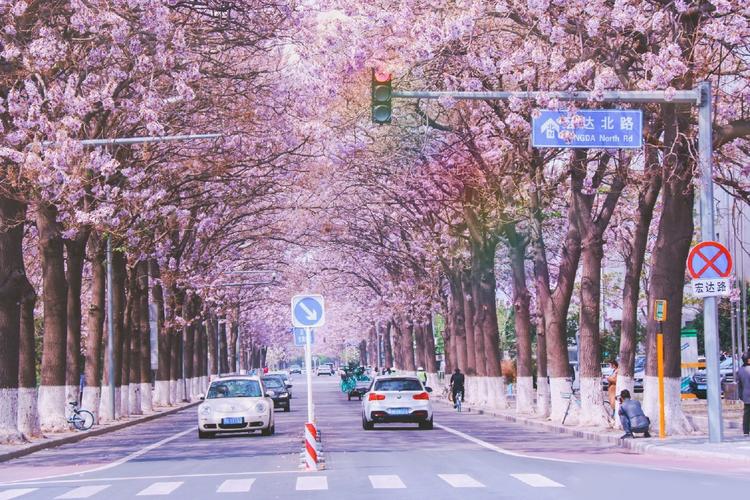 北京这五条路等您来打卡！四季有景、三季有花(公路打卡条路这五您来) 汽修知识