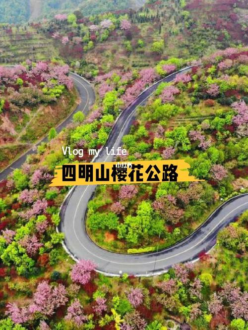 距离杭州一小时车程(樱花精品有了车程乡村) 汽修知识