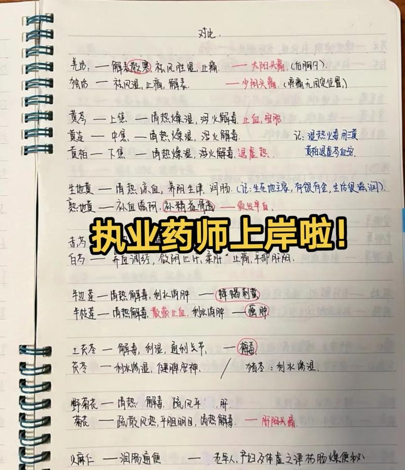 考执业药师零基础怎么自学 学类资讯