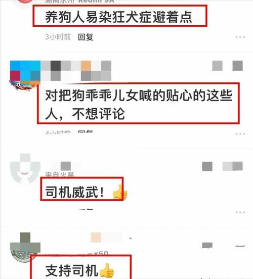 狗狗坐不上去后殴打他：快换车啦！(狗狗换车主人殴打门前) 汽修知识