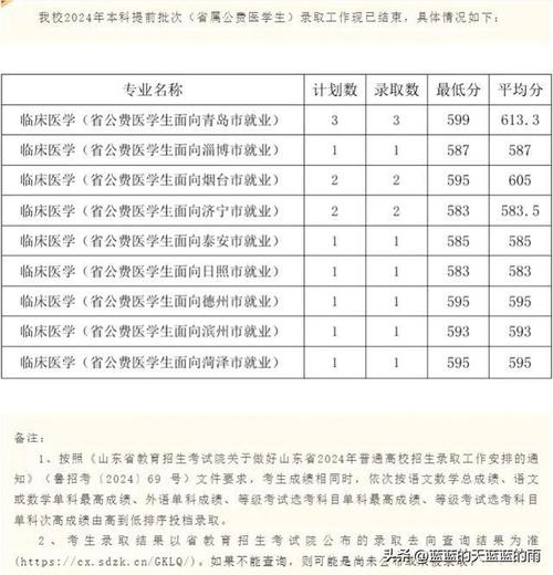 2024年临沂大学2+2国际本科学费多少钱 学类资讯