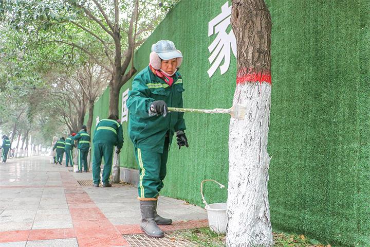 木垒县：树木涂白“换新衣” 清理枯叶“提颜值”(绿化带涂白清理树木中国新闻网) 汽修知识